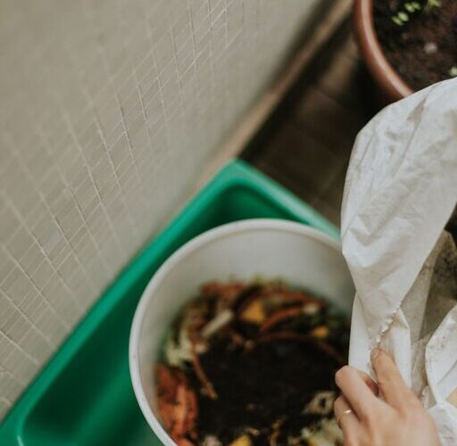Simple Ways to Reduce Food Waste at Home
